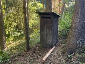 Prodej lesa, Štíty, 373 m2
