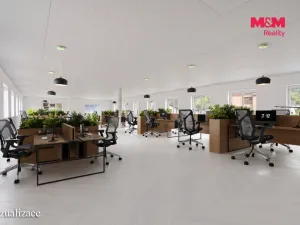 Pronájem obchodního prostoru, Velké Březno - Valtířov, 9439 m2