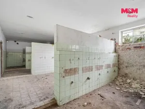 Pronájem obchodního prostoru, Velké Březno - Valtířov, 9439 m2