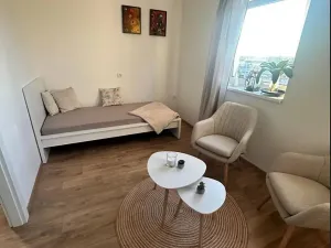 Pronájem bytu 1+kk, Zlín, Hřebíčkova, 20 m2