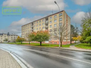 Prodej bytu 1+kk, Karlovy Vary, Fibichova, 18 m2