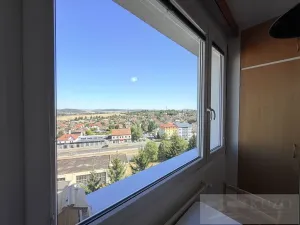 Pronájem bytu 1+1, Plzeň, Ledecká, 30 m2