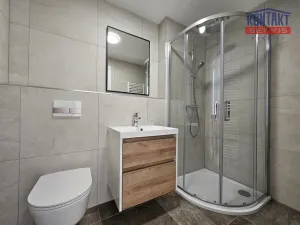 Pronájem bytu 2+kk, České Budějovice, Hálkova, 47 m2