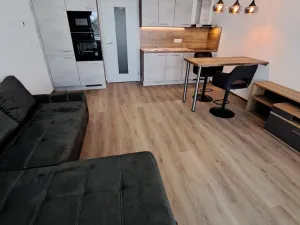 Pronájem bytu 1+kk, Olomouc, Topolová, 33 m2