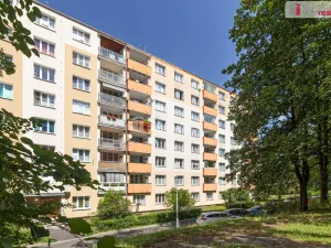 Prodej bytu 2+1, Sokolov, Mánesova, 60 m2