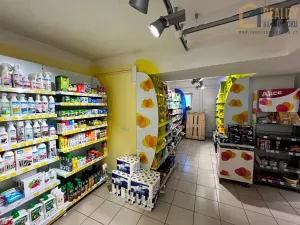 Prodej obchodního prostoru, Javorník, Míru, 370 m2