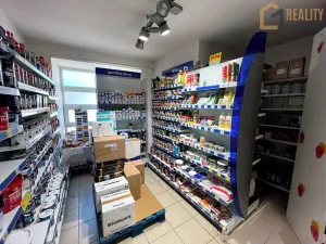 Prodej vícegeneračního domu, Javorník, Míru, 370 m2
