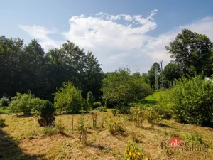 Prodej chaty, Řepiště, 20 m2