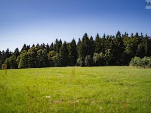 Prodej chaty, Český Jiřetín, 115 m2