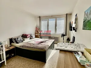 Pronájem bytu 2+1, Tábor, Budovatelů, 56 m2