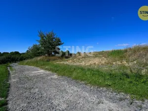 Prodej pozemku pro bydlení, Dolní Nětčice, 1258 m2
