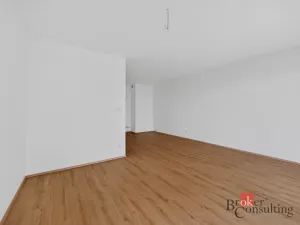 Prodej bytu 2+kk, Plzeň - Jižní Předměstí, Železná, 69 m2