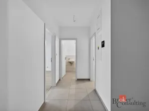 Prodej bytu 2+kk, Plzeň - Jižní Předměstí, Železná, 69 m2