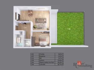 Prodej bytu 2+kk, Plzeň - Jižní Předměstí, Železná, 69 m2