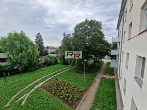 Pronájem bytu 3+1, Olomouc - Nová Ulice, tř. Svornosti, 65 m2