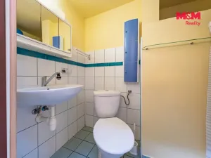 Prodej chaty, Kaliště - Poddubí, Skokanovo, 40 m2