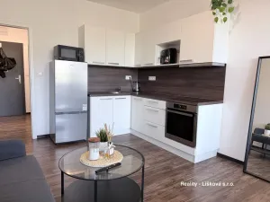 Pronájem bytu 1+kk, Ústí nad Labem - Ústí nad Labem-centrum, Velká Hradební, 30 m2