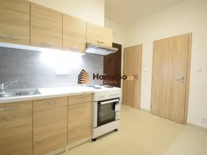 Pronájem bytu 2+1, Praha - Nusle, U gymnázia, 56 m2