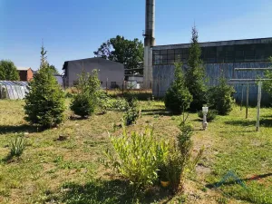 Prodej bytu 2+1, Velká Štáhle, 69 m2