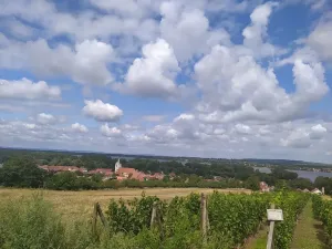 Prodej pozemku pro bydlení, Dolní Věstonice, 834 m2