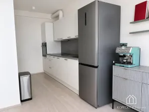 Pronájem bytu 2+kk, Praha - Chodov, Drahňovická, 55 m2