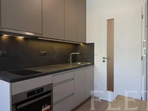 Pronájem bytu 1+kk, Praha - Holešovice, V háji, 30 m2