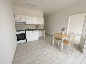 Pronájem bytu 1+1, Litvínov, Rooseveltova, 37 m2