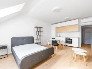 Pronájem bytu 1+kk, Praha - Karlín, Březinova, 38 m2