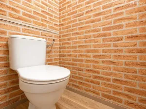 Pronájem bytu 2+1, Brno, Richtrova, 59 m2