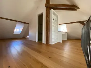 Pronájem bytu 3+kk, Praha - Staré Město, Melantrichova, 138 m2