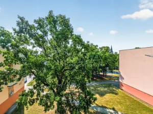 Prodej bytu 2+1, Zliv, Dolní náměstí, 61 m2