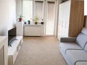 Prodej bytu 2+1, Tachov, 1. máje, 56 m2