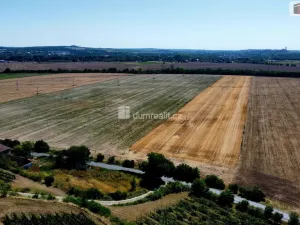 Prodej rodinného domu, Dolní Beřkovice, 337 m2