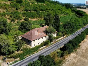 Prodej rodinného domu, Dolní Beřkovice, 337 m2