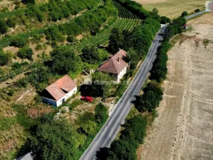 Prodej rodinného domu, Dolní Beřkovice, 337 m2