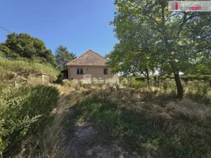 Prodej rodinného domu, Dolní Beřkovice, 300 m2