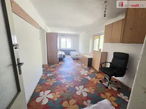 Prodej rodinného domu, Dolní Beřkovice, 300 m2