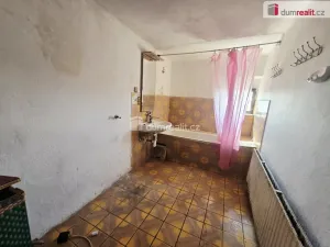 Prodej rodinného domu, Dolní Beřkovice, 300 m2
