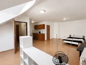 Pronájem bytu 1+kk, Hodonín, Národní třída, 50 m2
