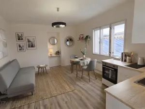 Pronájem bytu 1+kk, Praha - Nové Město, Žitná, 33 m2