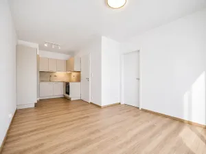 Prodej bytu 2+kk, Praha - Vysočany, Pod Harfou, 42 m2