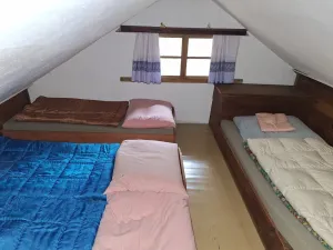 Prodej chaty, Kamenný Přívoz - Hostěradice, 50 m2