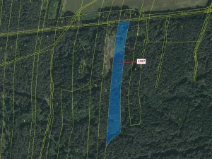 Dražba lesa, Nová Bystřice, 11125 m2