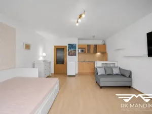 Pronájem bytu 1+kk, Praha - Černý Most, Truhlářova, 33 m2