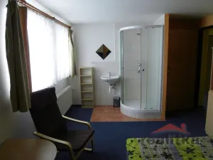 Pronájem pokoje, Opava - Jaktař, Přemyslovců, 20 m2