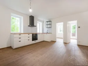 Prodej apartmánu, Zlatá Olešnice, 55 m2