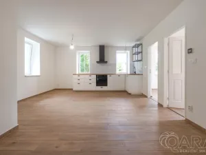 Prodej apartmánu, Zlatá Olešnice, 55 m2