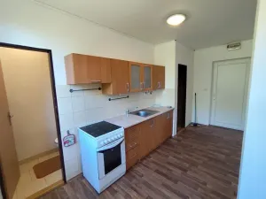 Prodej bytu 2+kk, Mělnické Vtelno, Chorušická, 50 m2