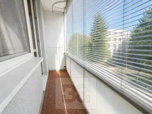 Pronájem bytu 2+1, Brno, Lipská, 55 m2