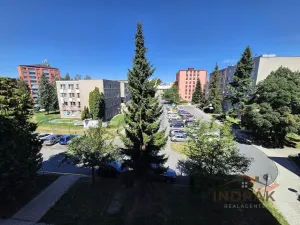 Pronájem bytu 2+1, Nový Jičín, Dvořákova, 53 m2